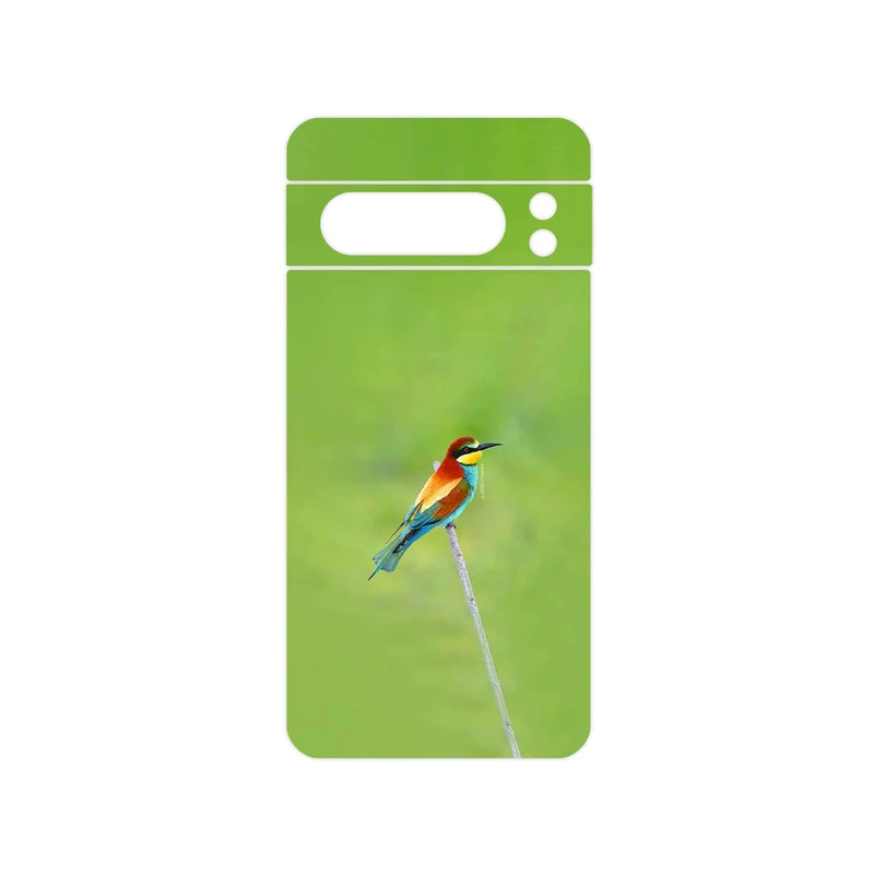 برچسب پوششی ماهوت مدل European bee-eater مناسب برای گوشی موبایل گوگل Pixel 8 Pro