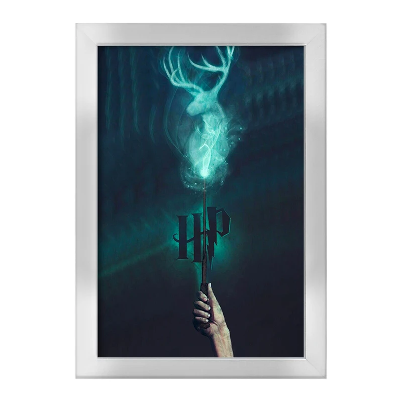 تابلو خندالو طرح هری پاتر (Harry Potter) کد F4445