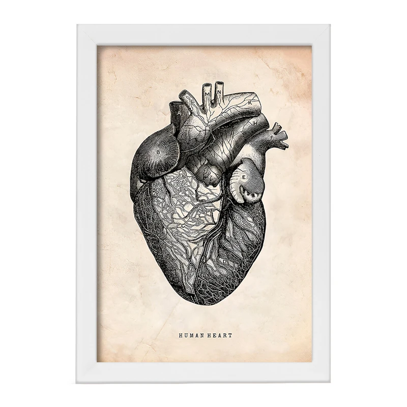 تابلو خندالو طرح آناتومی قلب (Heart Anatomy) کد F13941