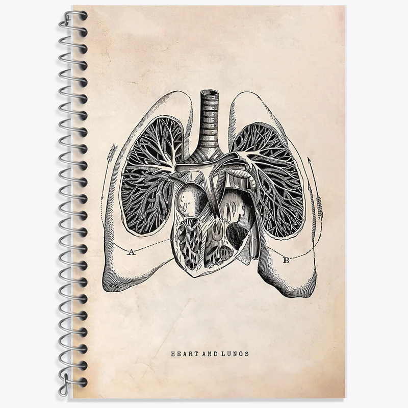 دفتر نت موسیقی 50 برگ خندالو طرح آناتومی قلب (Heart Anatomy) کد F13952