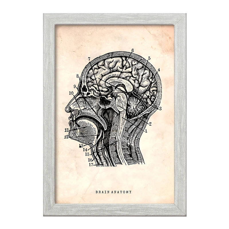 تابلو خندالو طرح آناتومی مغز (Brain Anatomy) کد F13947