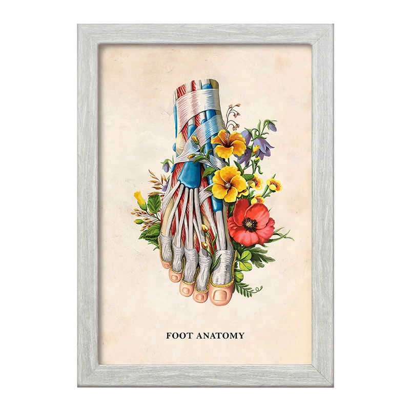 تابلو خندالو طرح آناتومی پا (Foot Anatomy) کد F14013