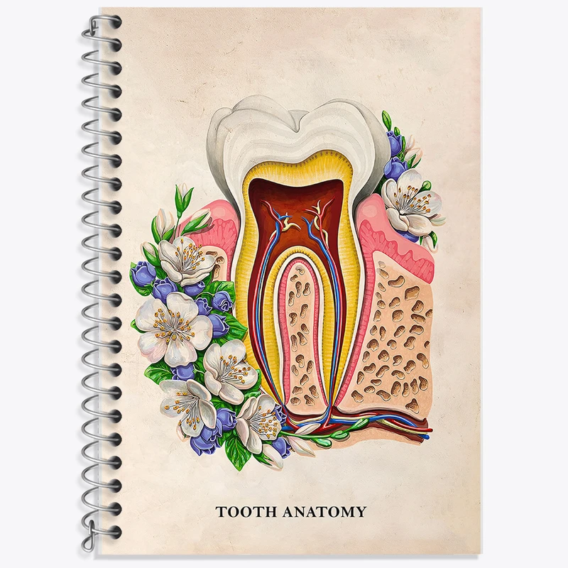 دفتر نت موسیقی 50 برگ خندالو طرح آناتومی دندان (Tooth Anatomy) کد F14012