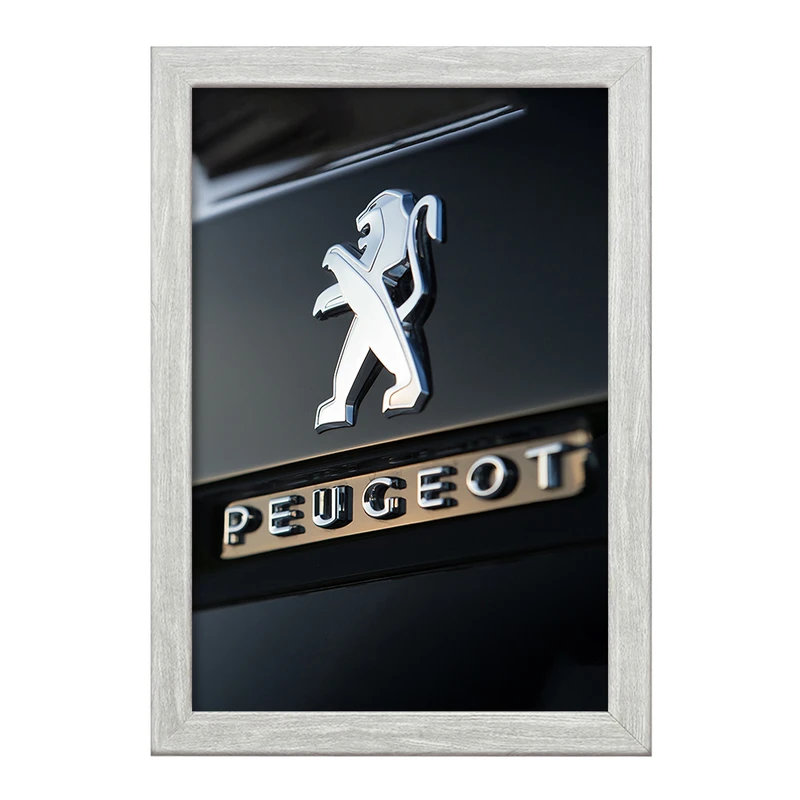 تابلو خندالو طرح پژو Peugeot  کد 23649