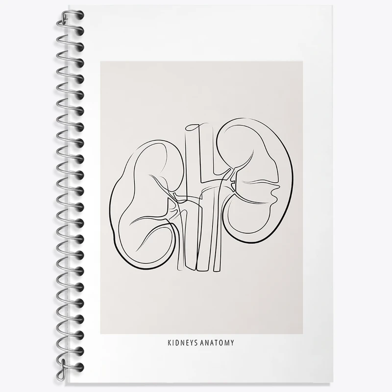دفتر زبان 50 برگ خندالو مدل سه خط طرح آناتومی کلیه ها (kidneys Anatomy) کد F13901