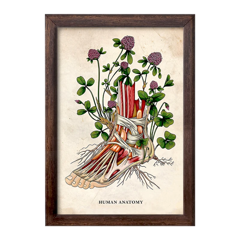 تابلو خندالو طرح آناتومی پا (Foot Anatomy) کد F13968