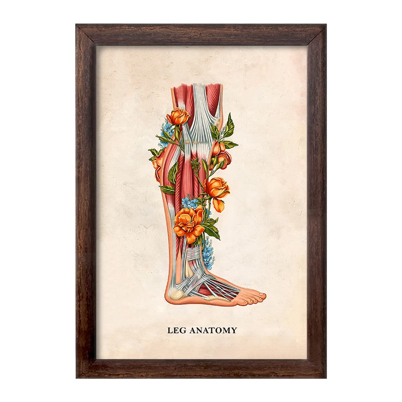 تابلو خندالو طرح آناتومی پا (Foot Anatomy کد F14015