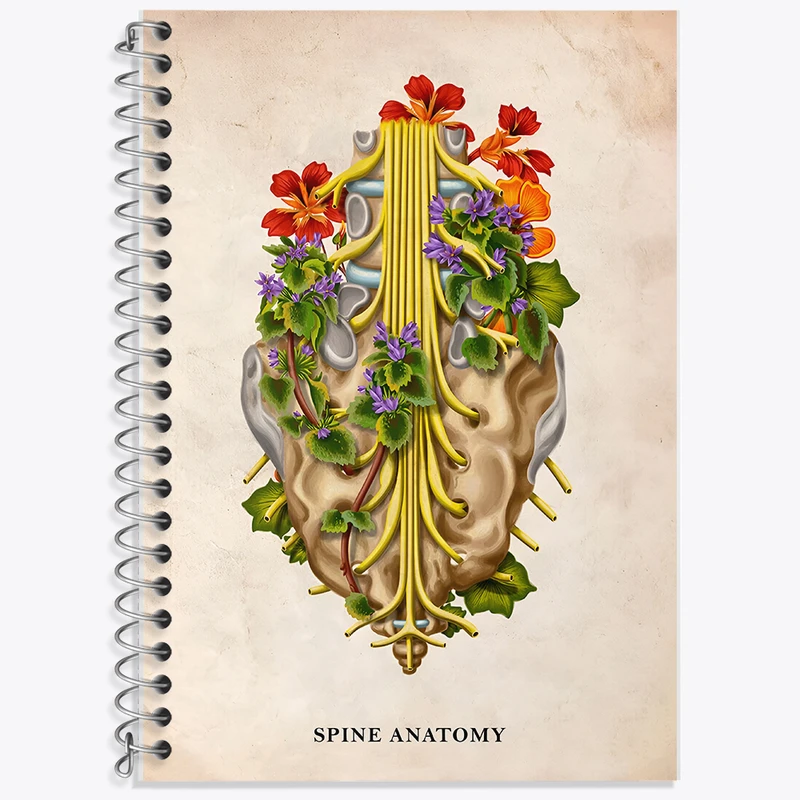 دفتر زبان دوخط 50 برگ خندالو طرح آناتومی ستون فقرات (Spine Anatomy) کد F13983