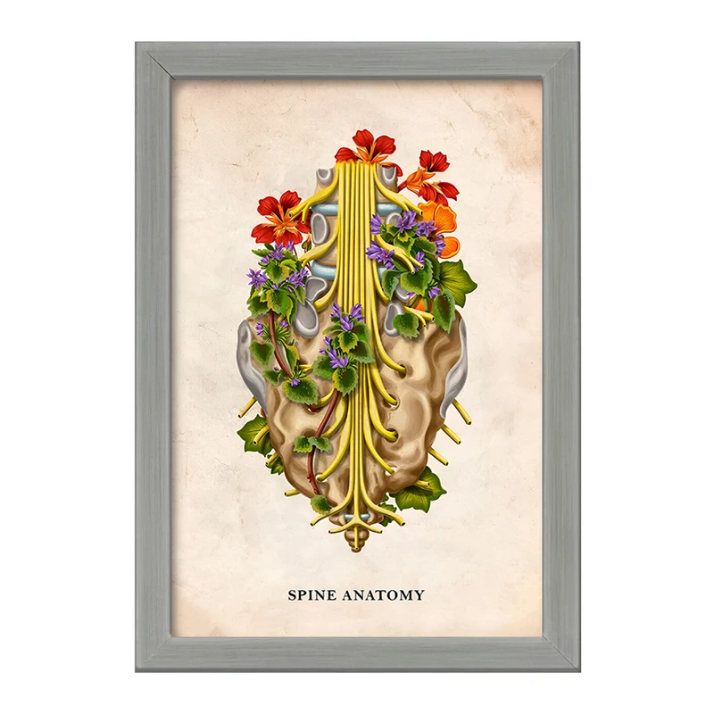 تابلو خندالو طرح آناتومی ستون فقرات (Spine Anatomy) کد F13983