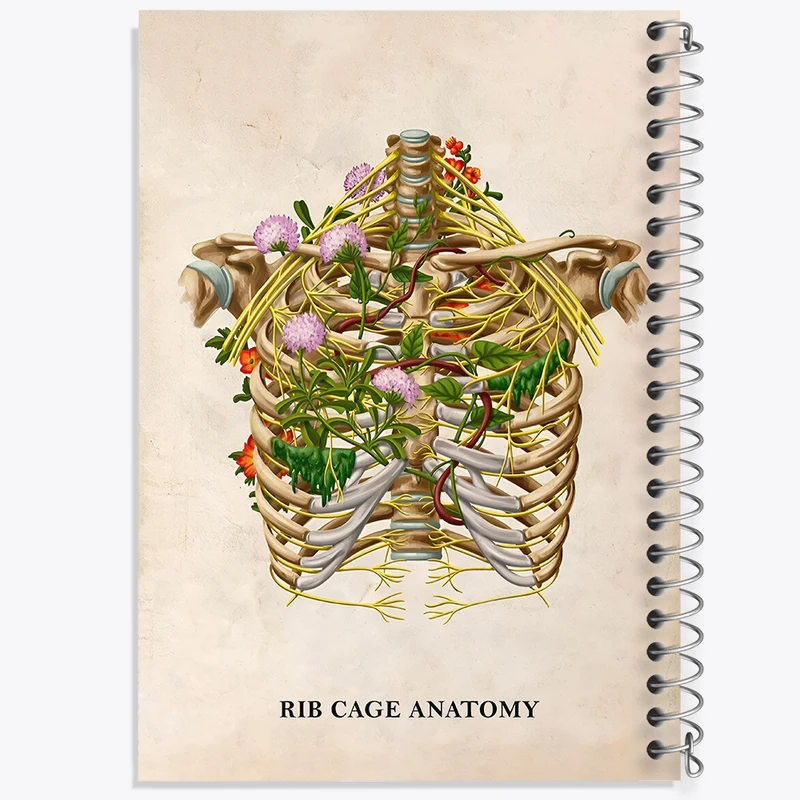 دفتر طراحی 50 برگ خندالو طرح آناتومی قفسه سینه (Rib Cage Anatomy) کد F13995