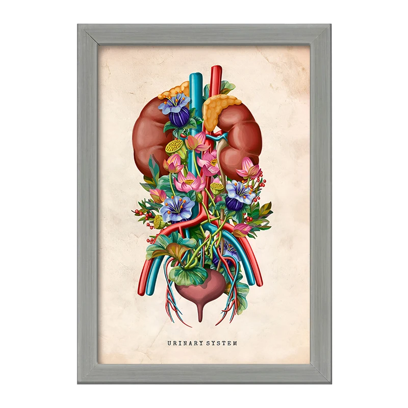 تابلو خندالو طرح سیستم ادراری (Urinary System) کد F13963