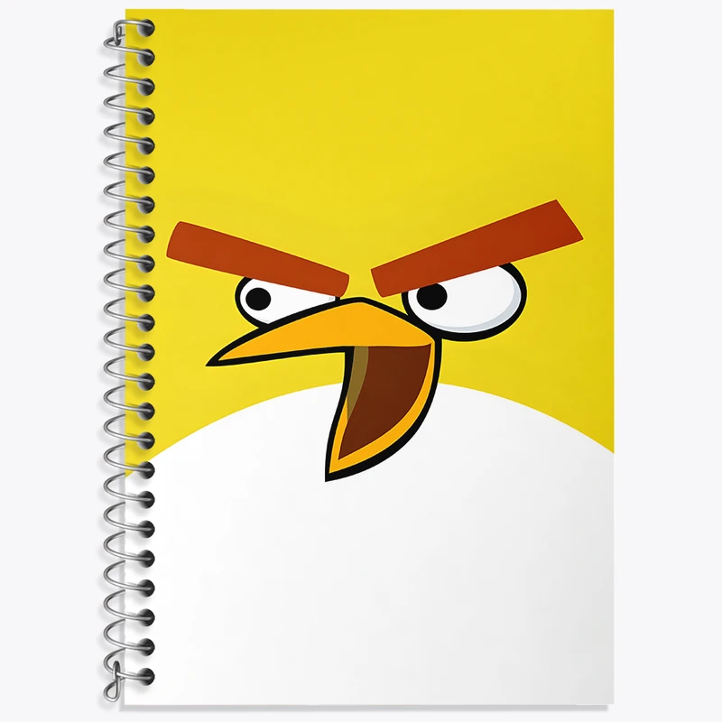 دفتر نت موسیقی 50 برگ خندالو طرح پرندگان خشمگین کد F3308