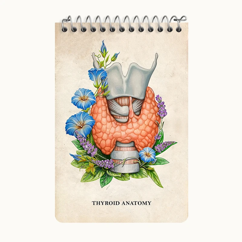 دفتر یادداشت 50 برگ خندالو طرح آناتومی تیروئید (Thyroid Anatomy) کد F14007