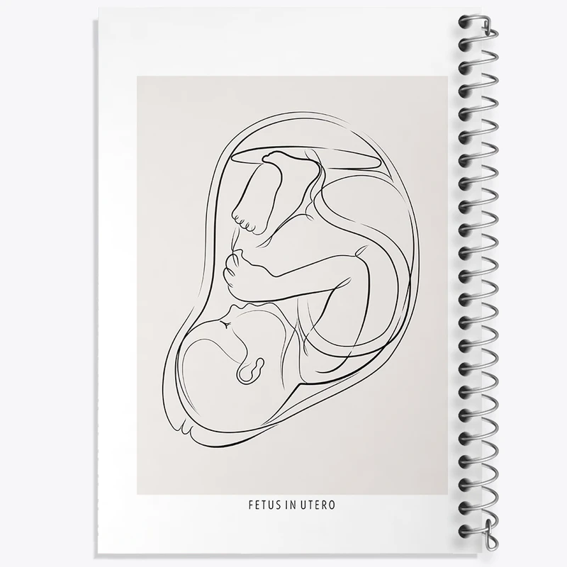 دفتر طراحی 50 برگ خندالو طرح جنین (Fetus In Utero) کد F13935