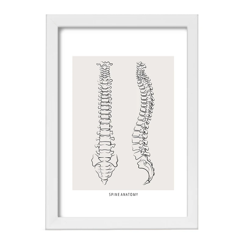 تابلو خندالو طرح آناتومی ستون فقرات (Spine Anatomy) کد F13909
