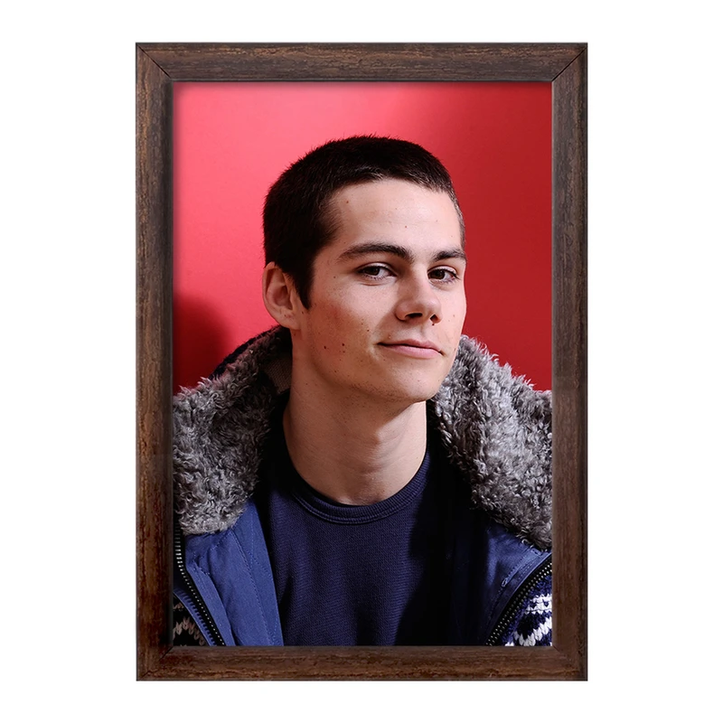 تابلو خندالو طرح استایلز استلینسکی سریال تین ولف Teen Wolf کد 28444