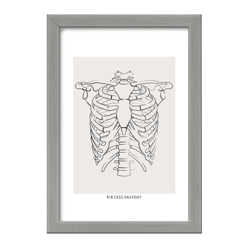 تابلو خندالو طرح آناتومی قفسه سینه (Rib Cage Anatomy) کد F13920