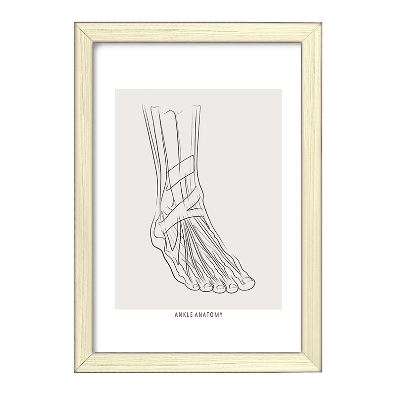 تابلو خندالو طرح آناتومی مچ پا (Ankle Anatomy) کد F13926