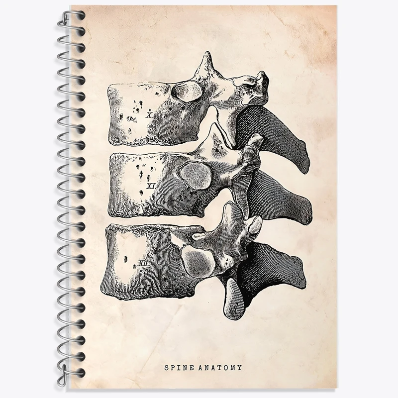 دفتر زبان 50 برگ خندالو مدل سه خط طرح آناتومی ستون فقرات (Spine Anatomy) کد F13954