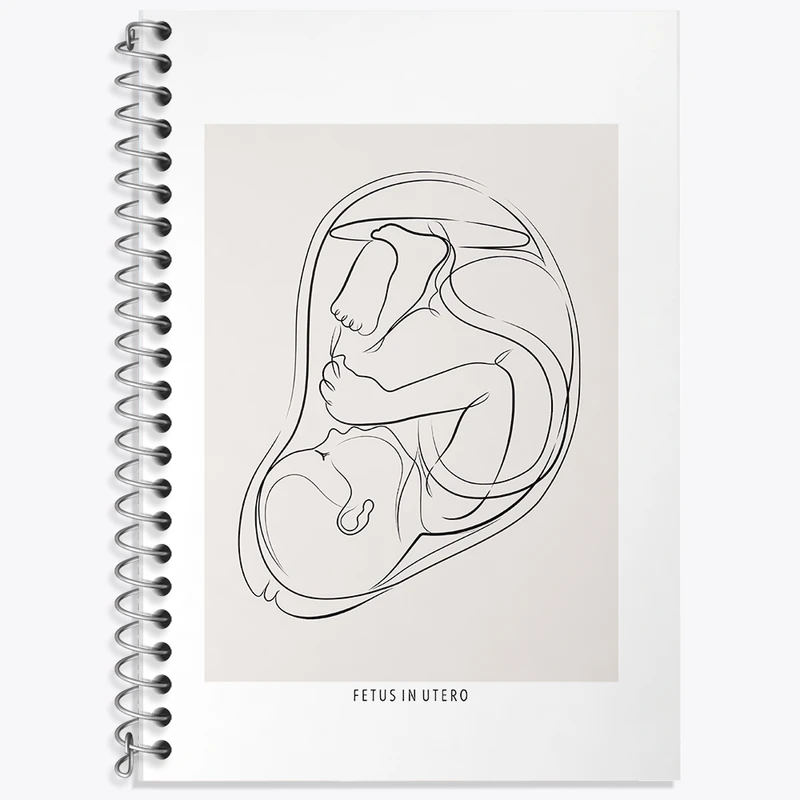 دفتر نت موسیقی 50 برگ خندالو طرح جنین (Fetus In Utero) کد F13935