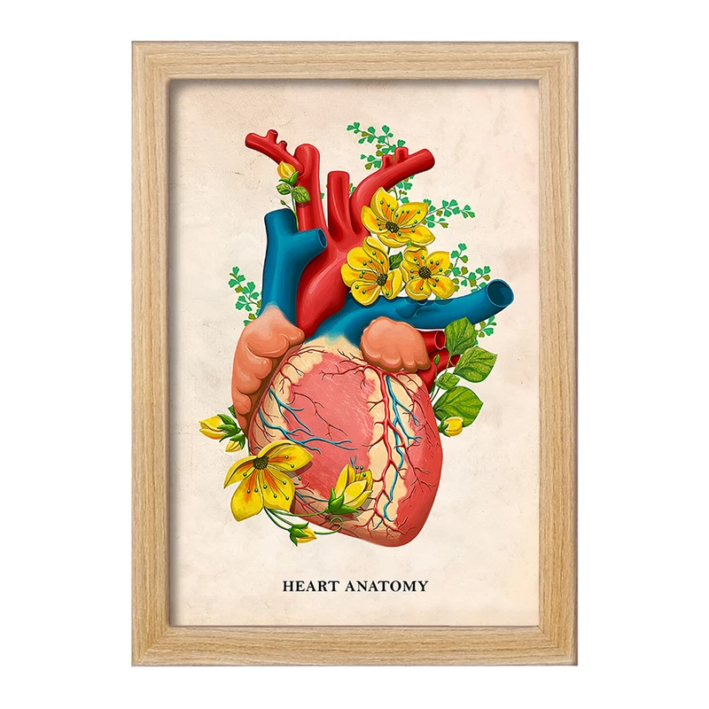 تابلو خندالو طرح آناتومی قلب (Heart Anatomy) کد F14016