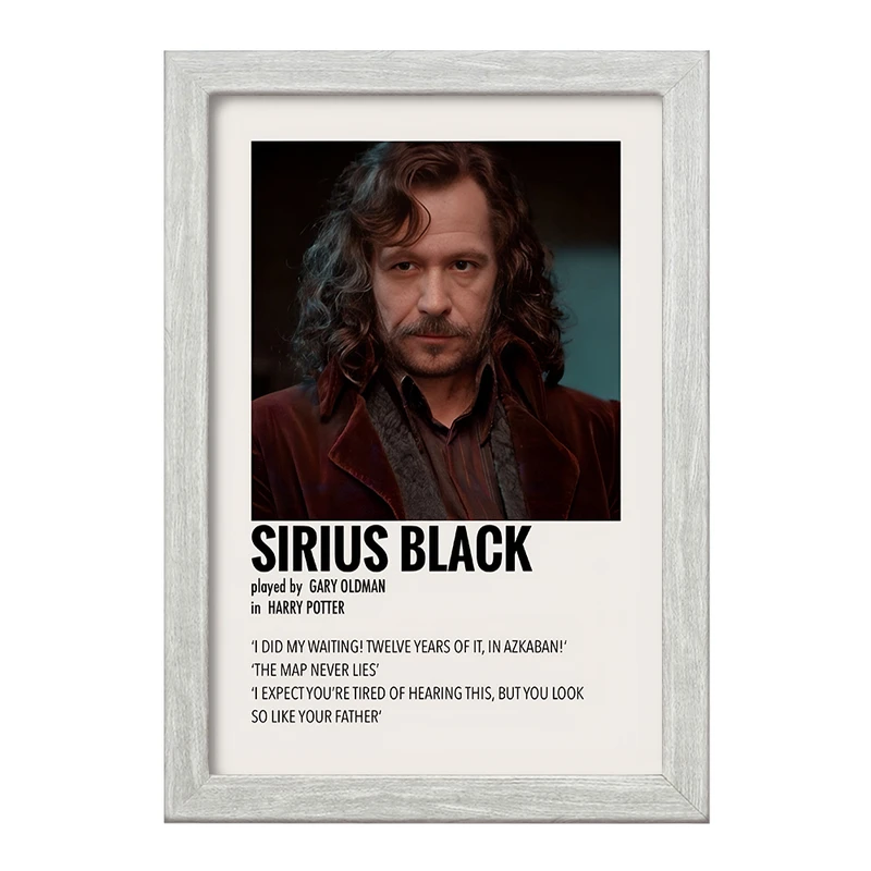 تابلو خندالو طرح سیریوس بلک (Sirius Black) کد F13398
