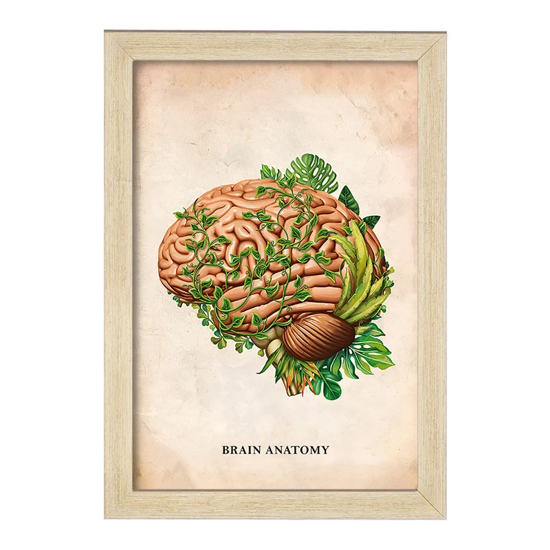 تابلو خندالو طرح آناتومی مغز (Brain Anatomy) کد F13984