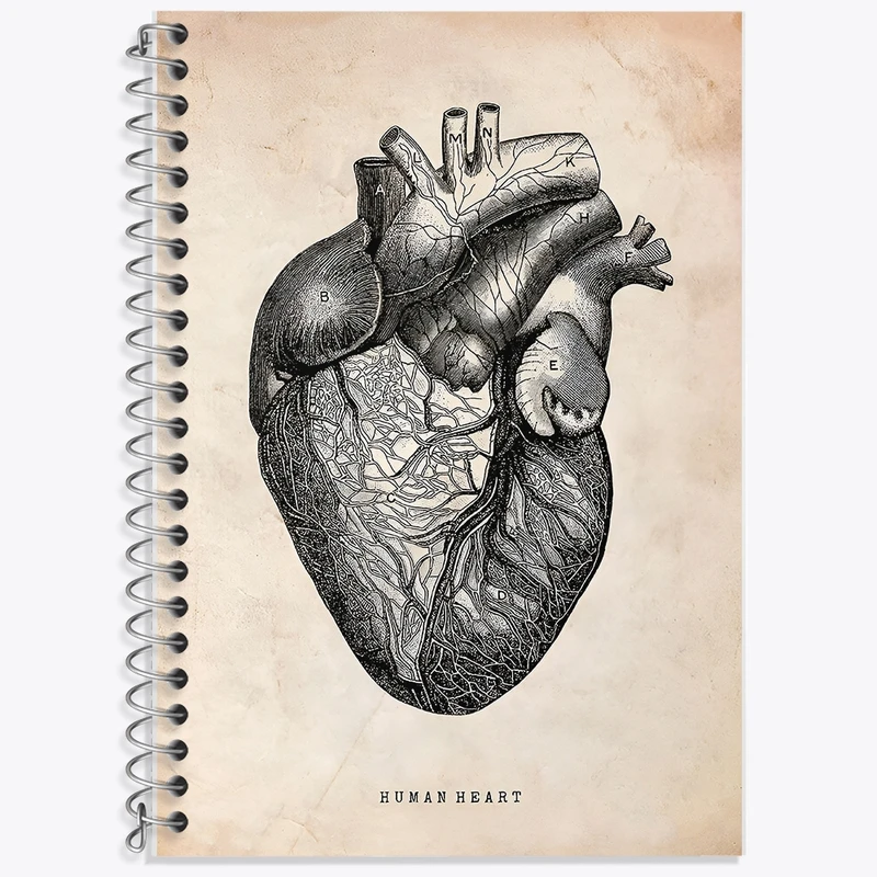 دفتر زبان 50 برگ خندالو مدل سه خط طرح آناتومی قلب (Heart Anatomy) کد F13941