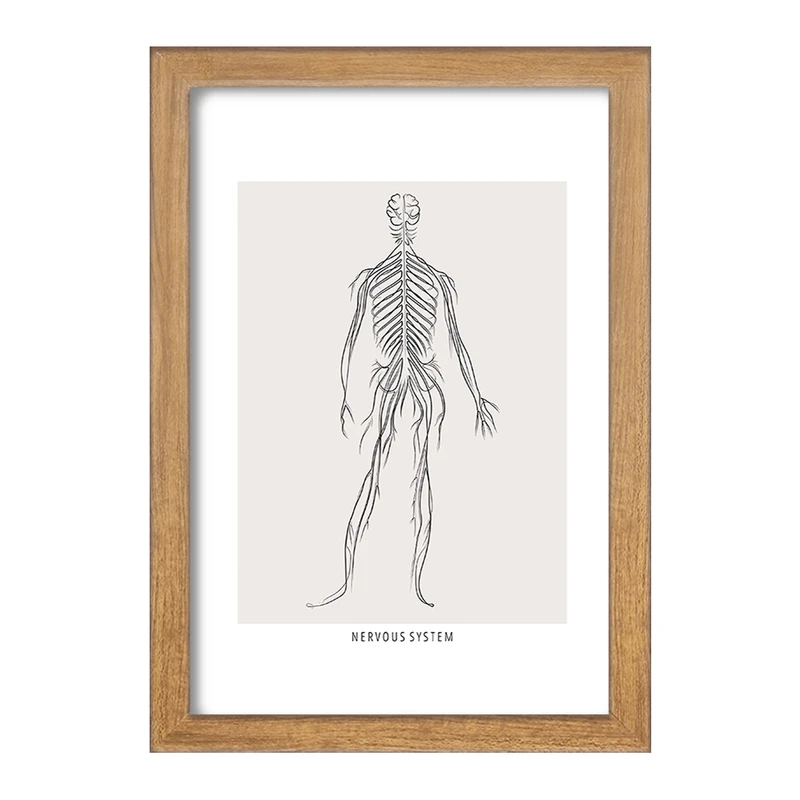 تابلو خندالو طرح سیستم عصبی (Nervous System) کد F13922