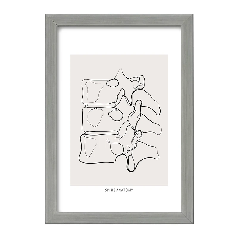 تابلو خندالو طرح آناتومی ستون فقرات (Spine Anatomy) کد F13910