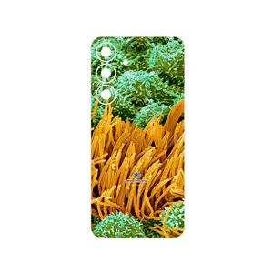 MAHOOT Atom Universe 6 Cover Sticker for Samsung Galaxy S25 FE