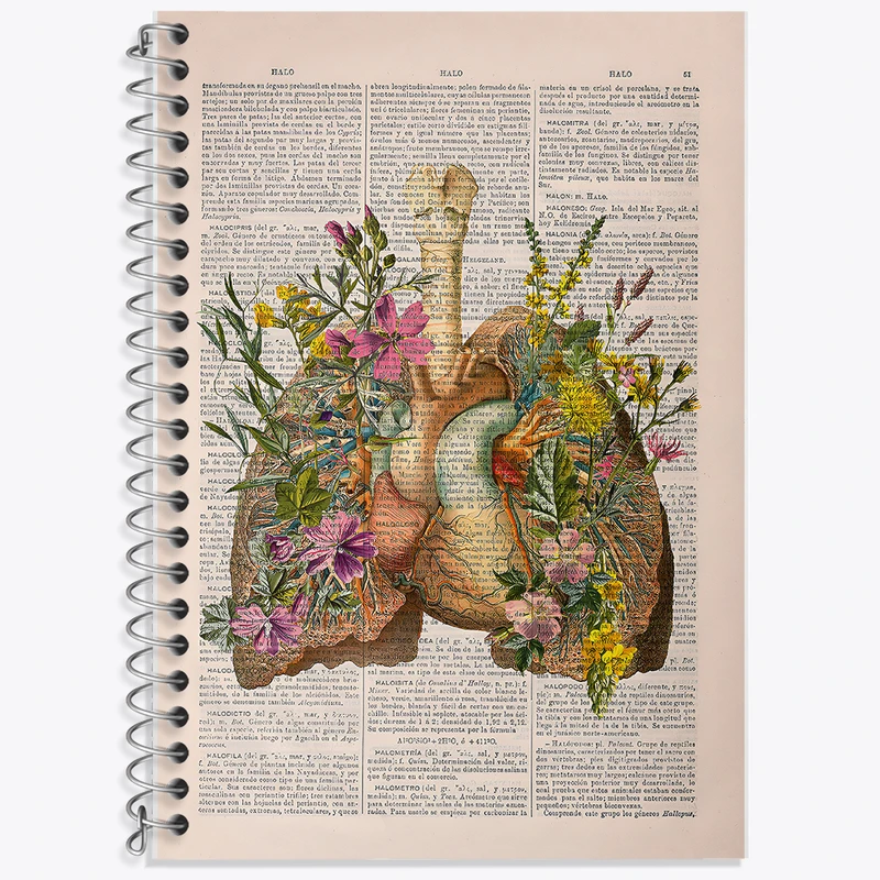 دفتر زبان 50 برگ خندالو مدل دو خط طرح آناتومی ریه ها (Lungs Anatomy) کد F14040