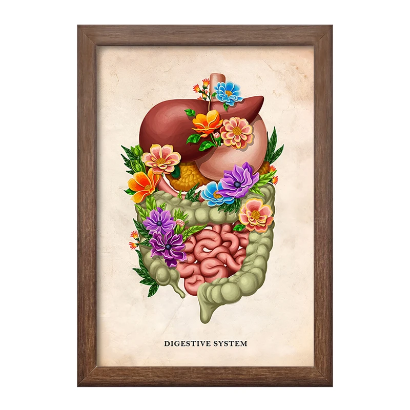 تابلو خندالو طرح سیستم گوارش (Digestive System) کد F13971