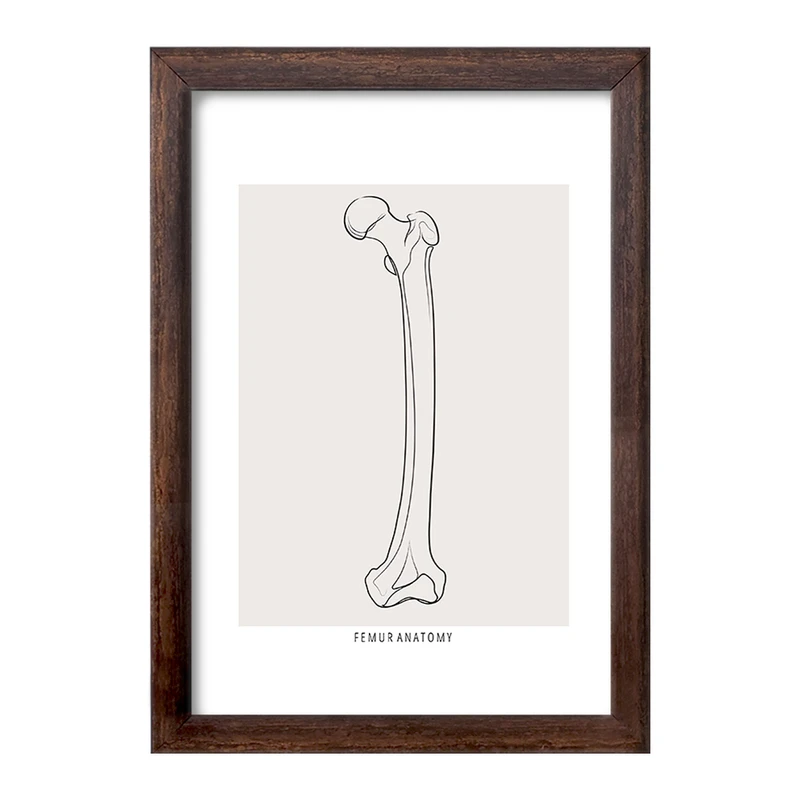 تابلو خندالو طرح آناتومی استخوان ران (Femur Anatomy) کد F13917