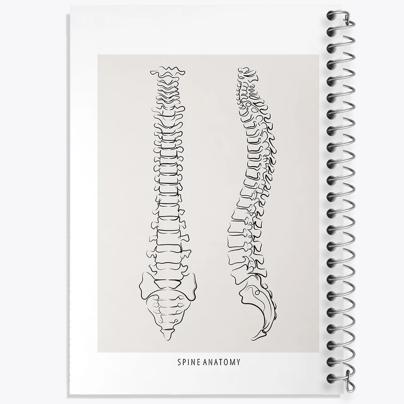 دفتر نقاشی 50 برگ خندالو طرح آناتومی ستون فقرات (Spine Anatomy) کد F13909