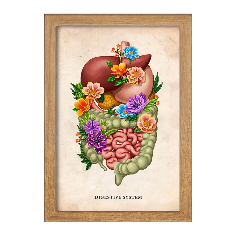 تابلو خندالو طرح سیستم گوارش (Digestive System) کد F13971