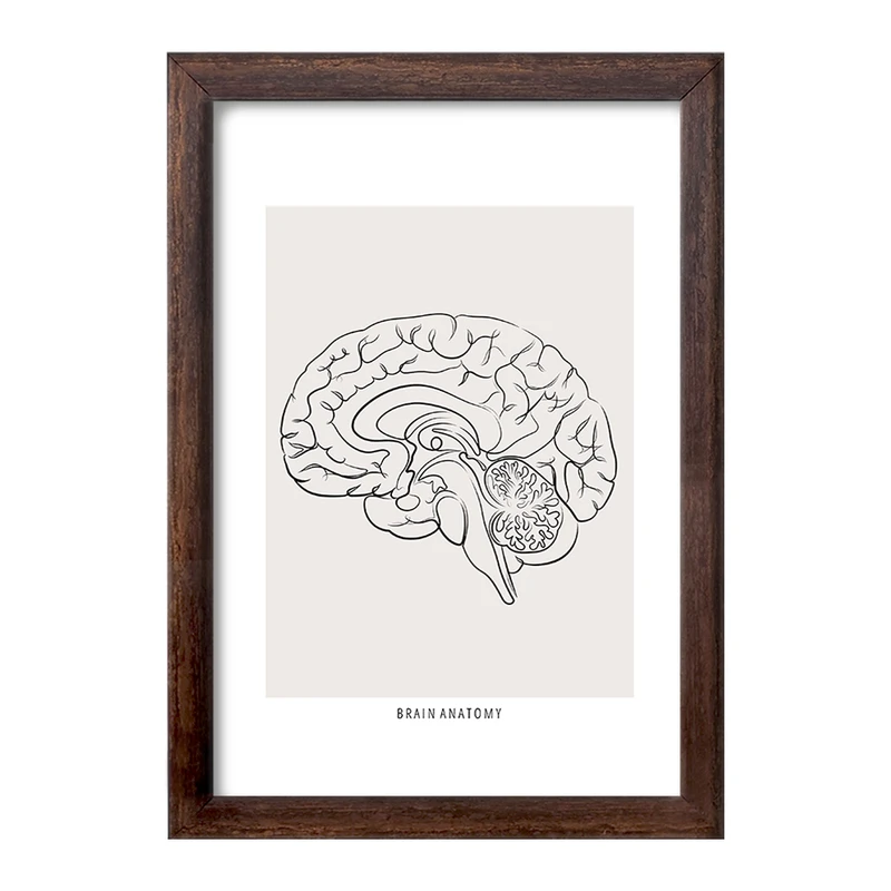 تابلو خندالو طرح آناتومی مغز (Brain Anatomy) کد F13891