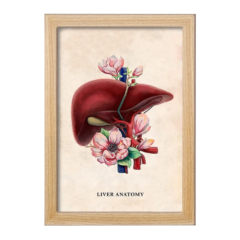 تابلو خندالو طرح آناتومی کبد (Liver anatomy) کد F14027