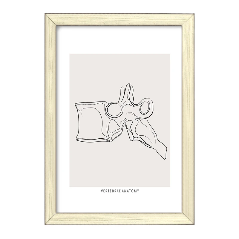 تابلو خندالو طرح آناتومی مهره ها (Vertebrae Anatomy) کد F13911