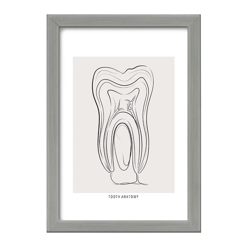 تابلو خندالو طرح آناتومی دندان (Tooth Anatomy) کد F13937