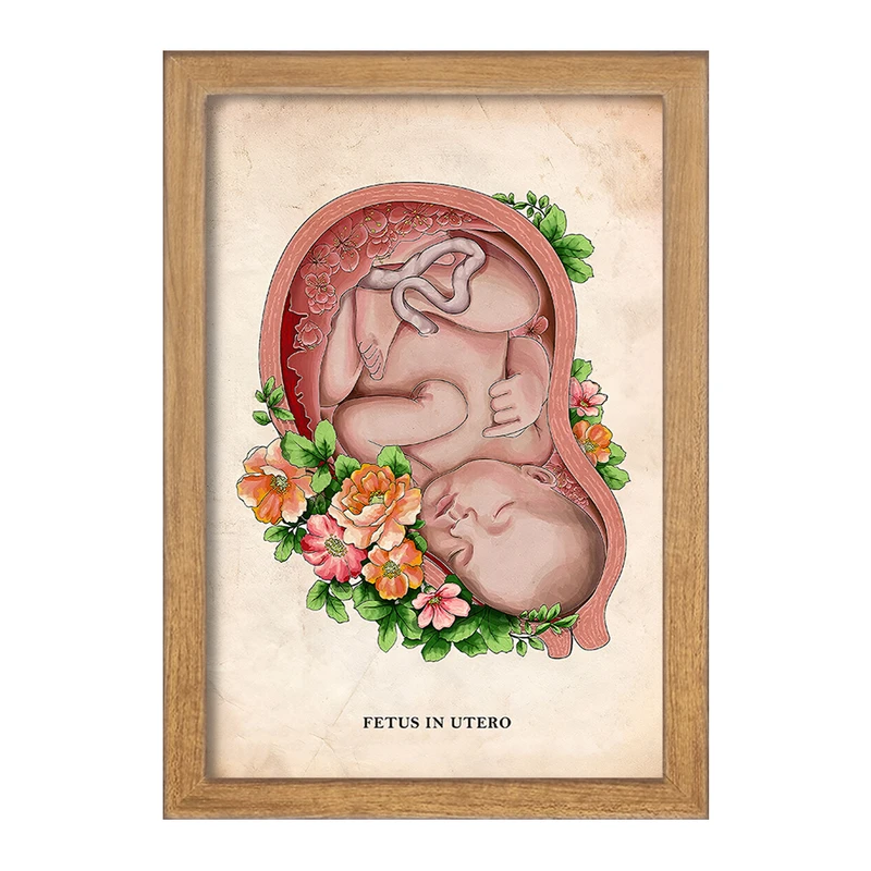 تابلو خندالو طرح جنین (Fetus In Utero) کد F13972