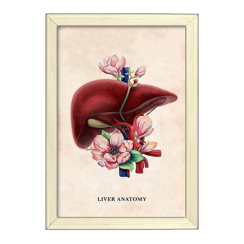 تابلو خندالو طرح آناتومی کبد (Liver anatomy) کد F14027