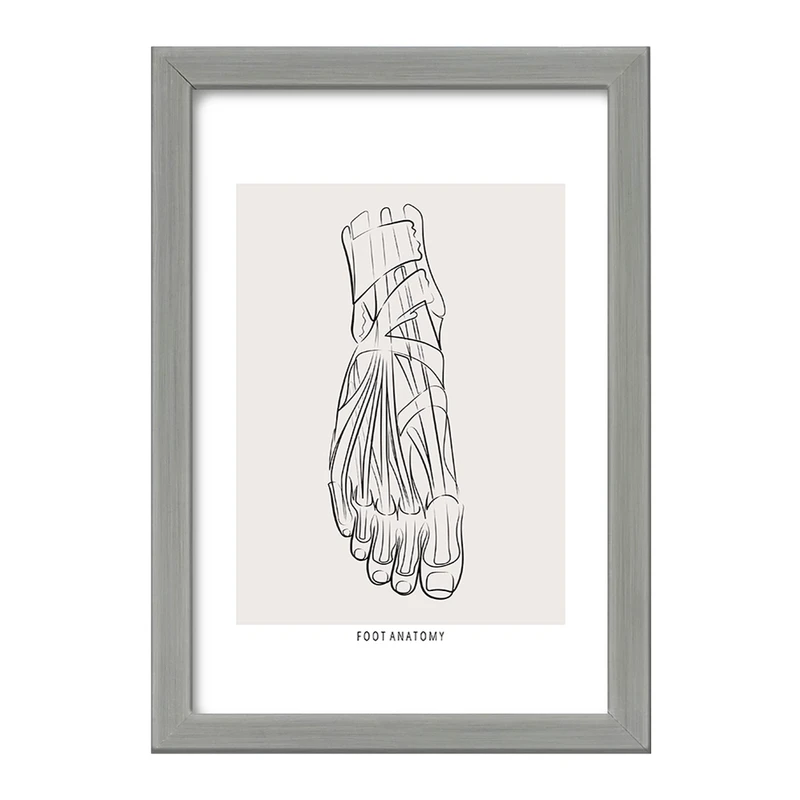 تابلو خندالو طرح آناتومی پا (Foot Anatomy) کد F13924