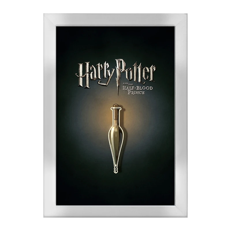 تابلو خندالو طرح هری پاتر (Harry Potter) کد F13722