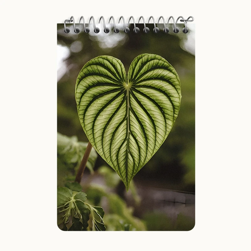 دفتر یادداشت 50 برگ خندالو طرح برگ کد F9471