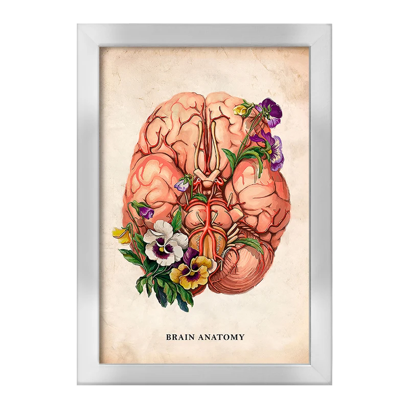 تابلو خندالو طرح آناتومی مغز (Brain Anatomy) کد F13976