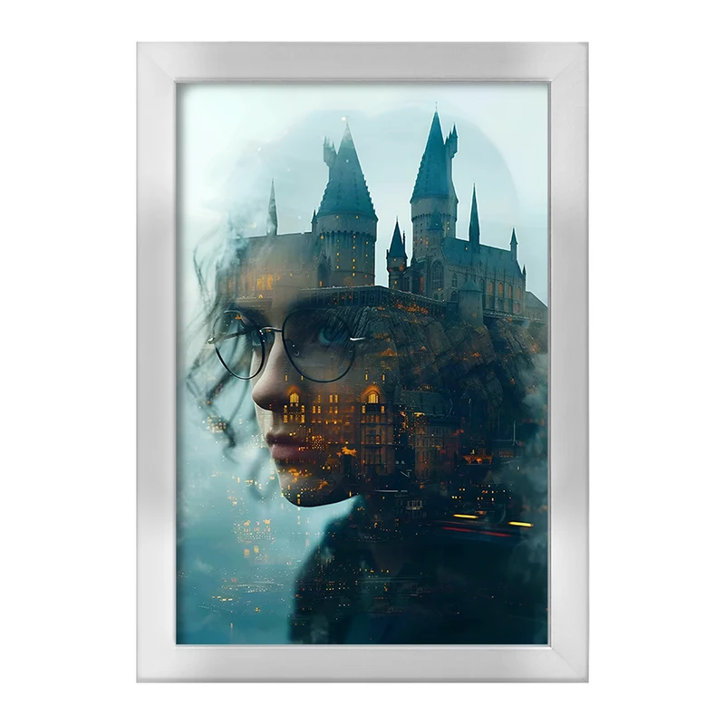 تابلو خندالو طرح هرماینی هری پاتر (Harry Potter) کد F14190