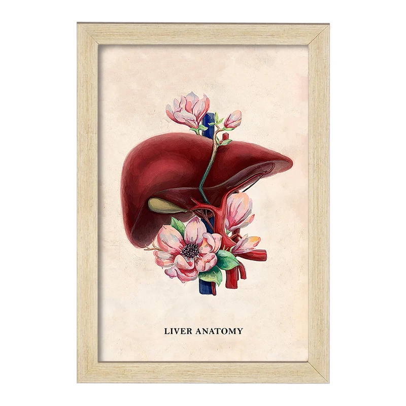 تابلو خندالو طرح آناتومی کبد (Liver anatomy) کد F14027