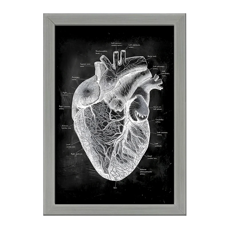 تابلو خندالو طرح آناتومی قلب (Heart Anatomy) کد F13956