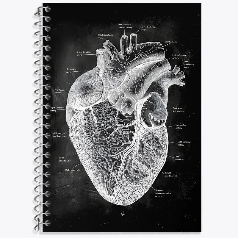 دفتر لغت 50 برگ خندالو طرح آناتومی قلب (Heart Anatomy) کد F13956